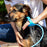 147. Pet Bathing Tool